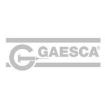 Gaesca.jpg-Logo