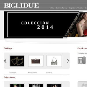 biglidue.com.ve